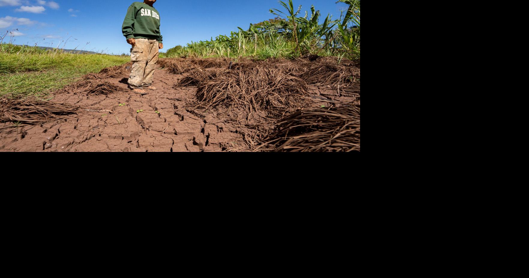 Hawaii Flooding Small Farms