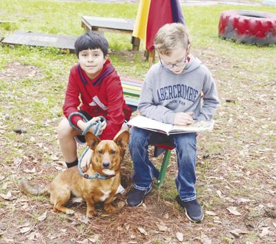 Students reading to dogs