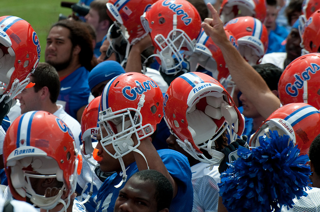 2008-Florida-photo-gator.jpg