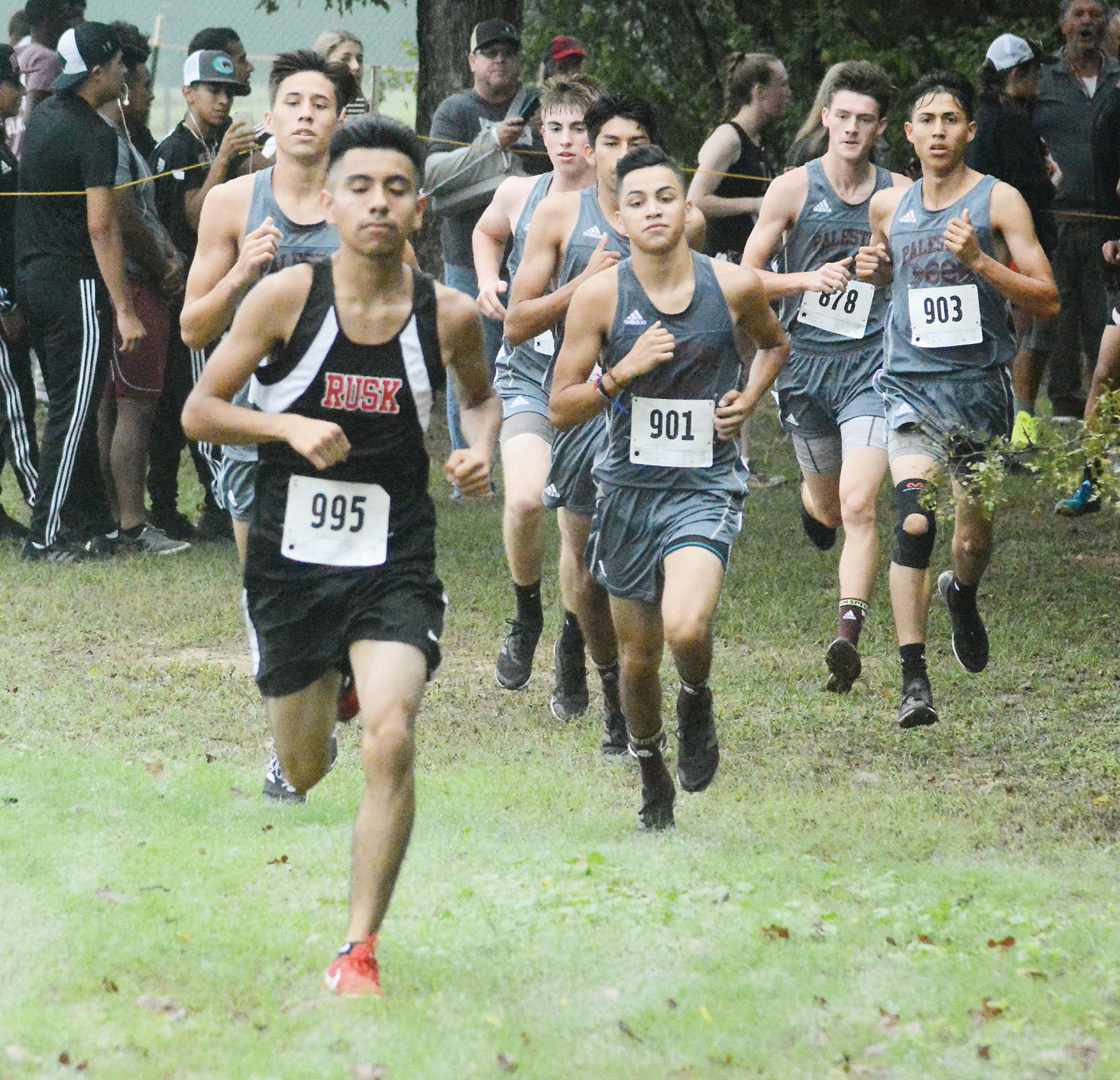 High school cross country Teams individuals aim for podium finish