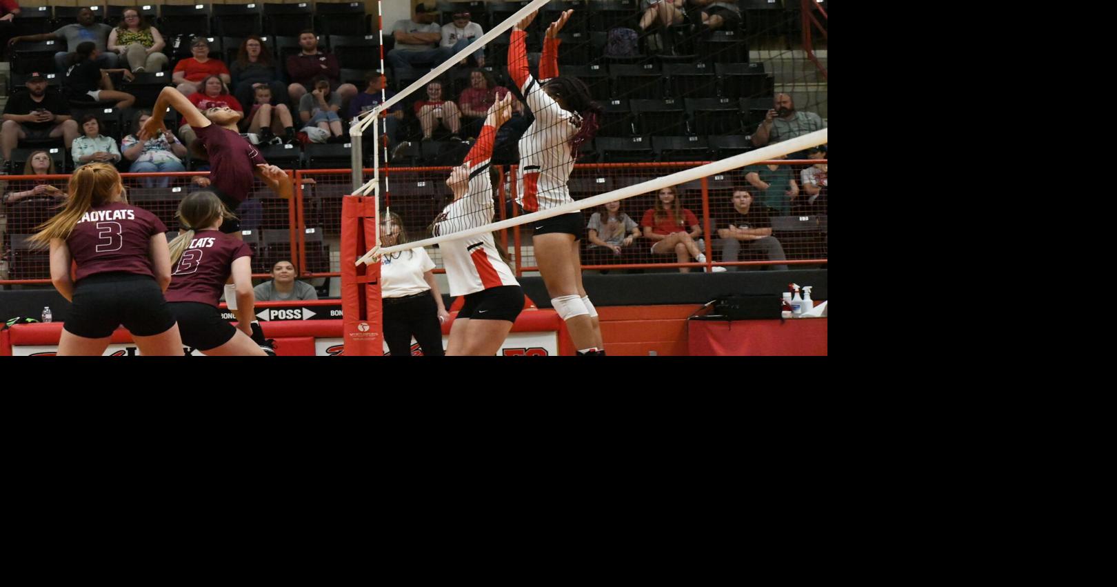 High school volleyball Palestine, Neches place players on TSWA All
