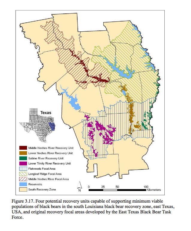 Was it a hog or a black bear? Black bears are making a return to their