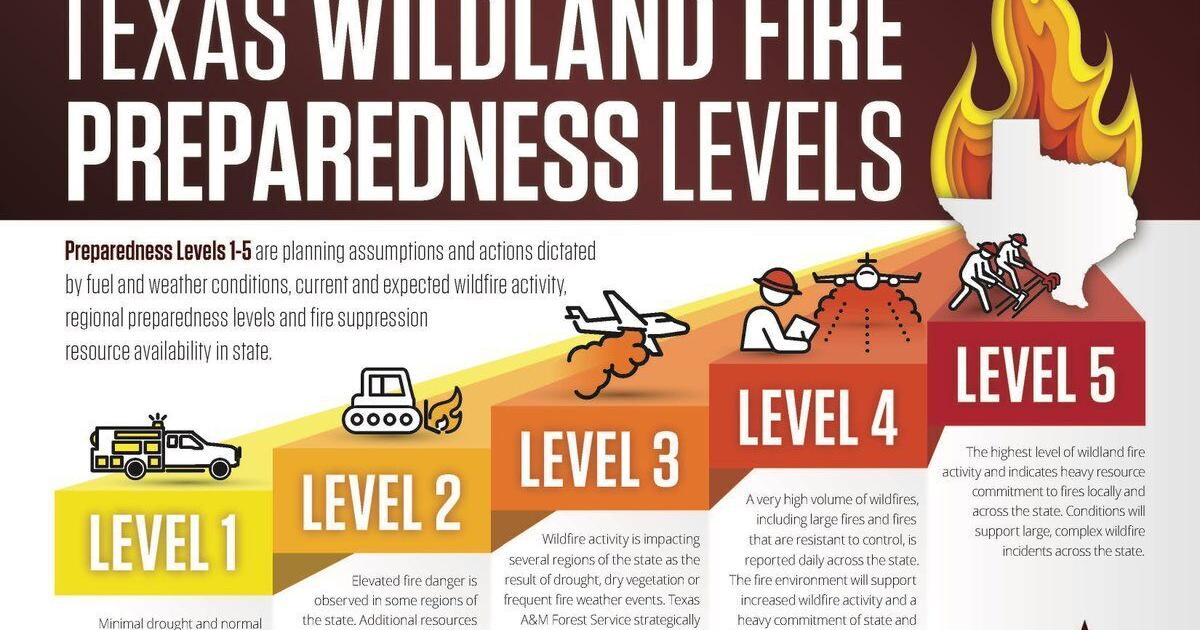 Texas A&M Forest Service raises wildland fire preparedness levels - Vimarsana News