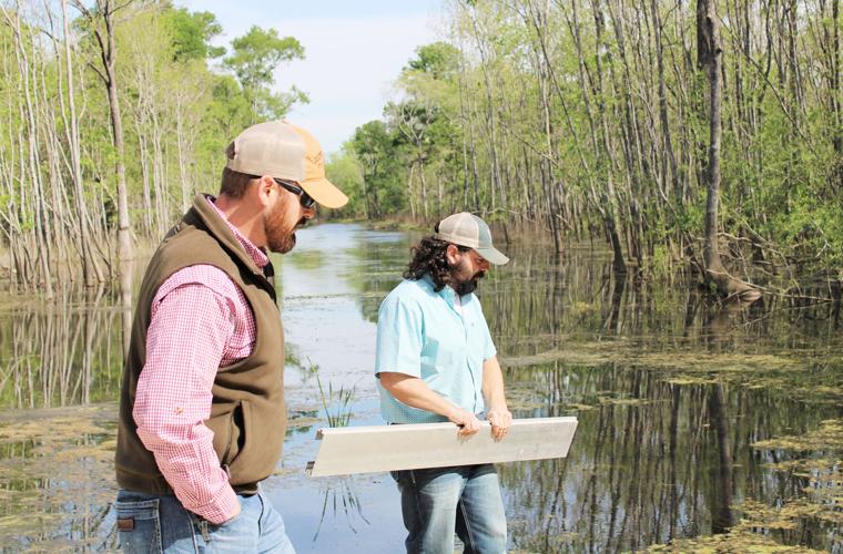 Richland Creek WMA expands wetland habitat News