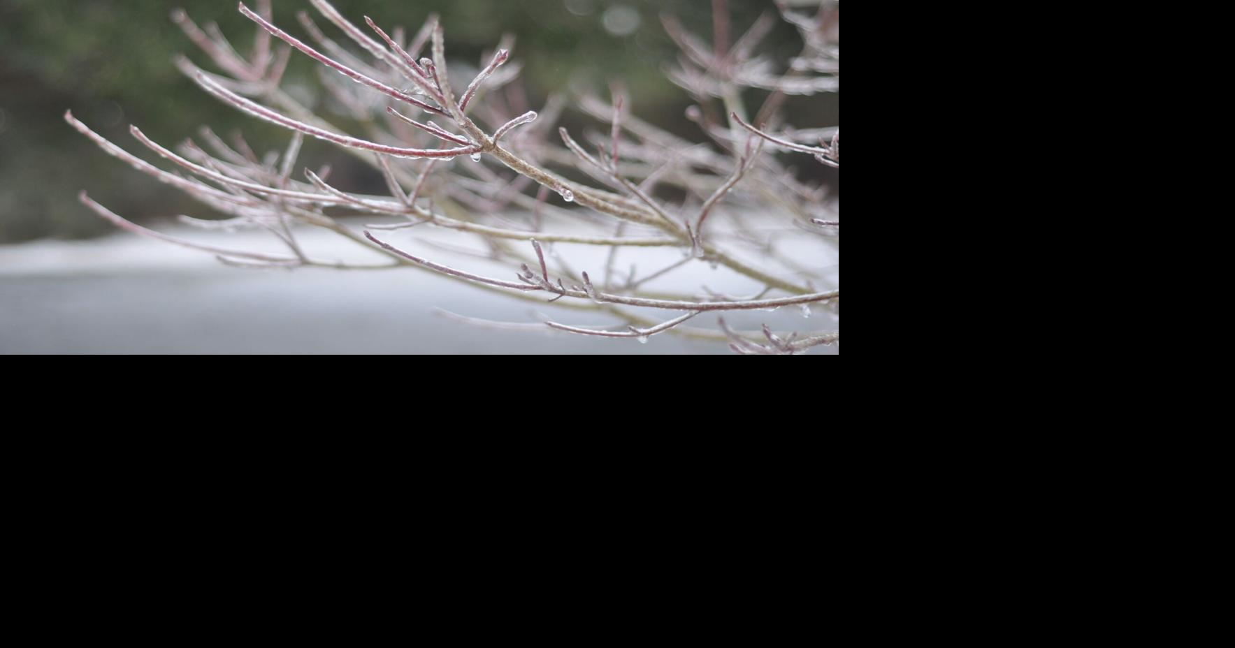 COLUMN: Winter storms can impact your online behavior and increase scam ...