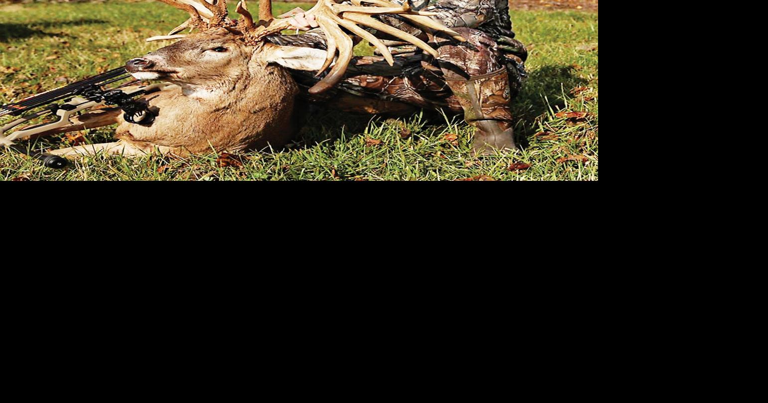 Deer Antlers Shrink After They've Dried? Deer & Deer Hunting