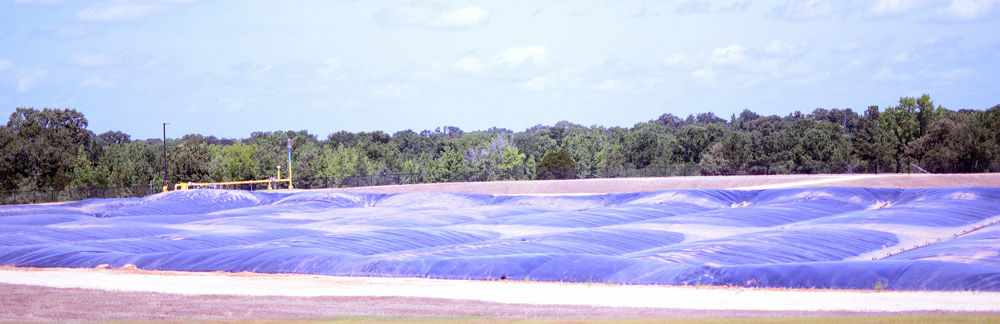 Inside Sanderson Farms | News | palestineherald.com