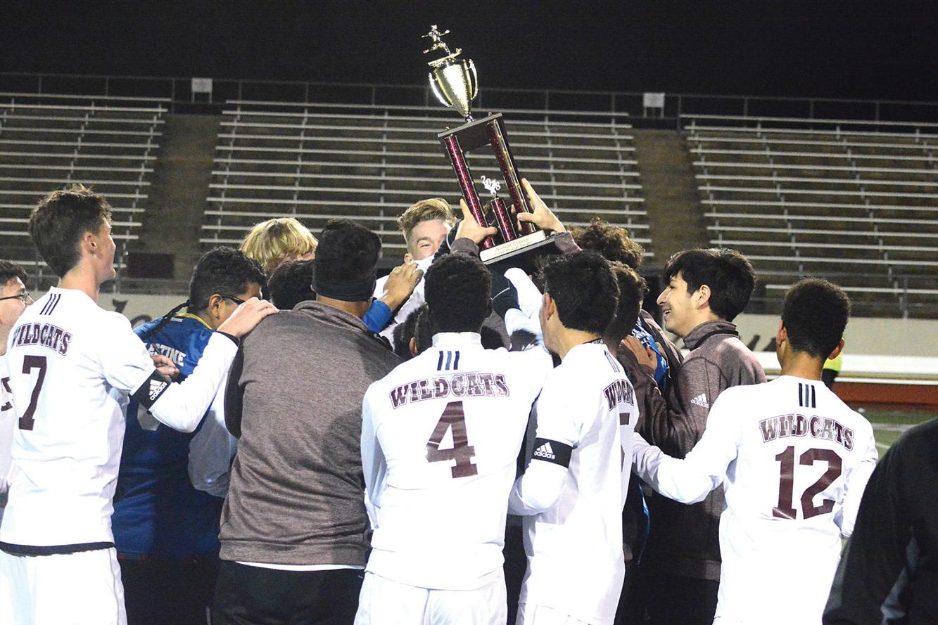 High school soccer Palestine boys' season scores Sports