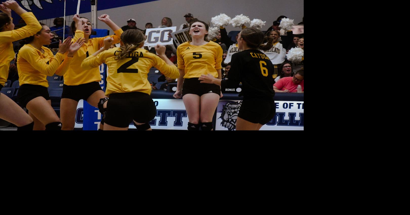 High school volleyball Cayuga sweeps HallDaisetta for area