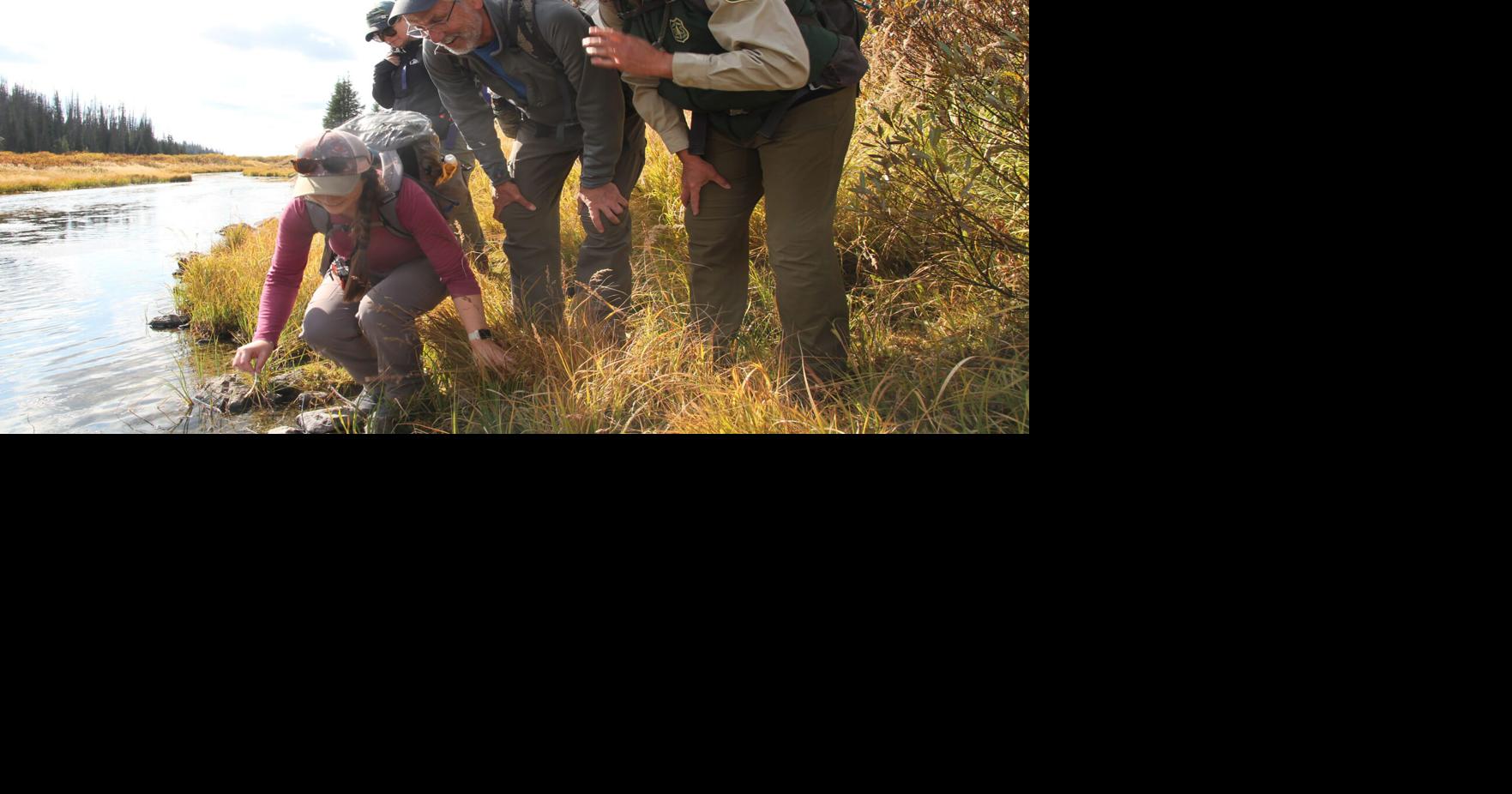 Wyoming Water Quality Testing