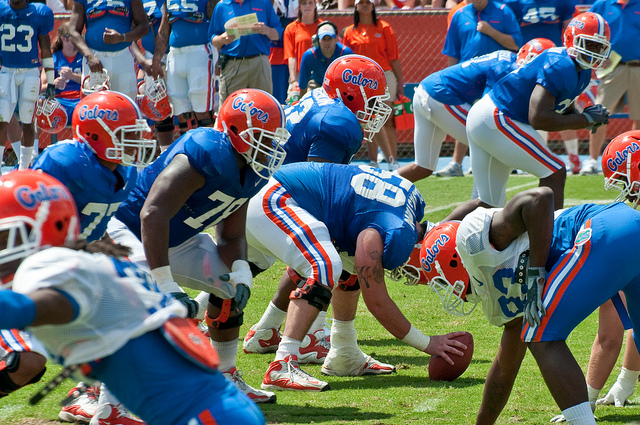 2009-Florida-photo-gator.jpg