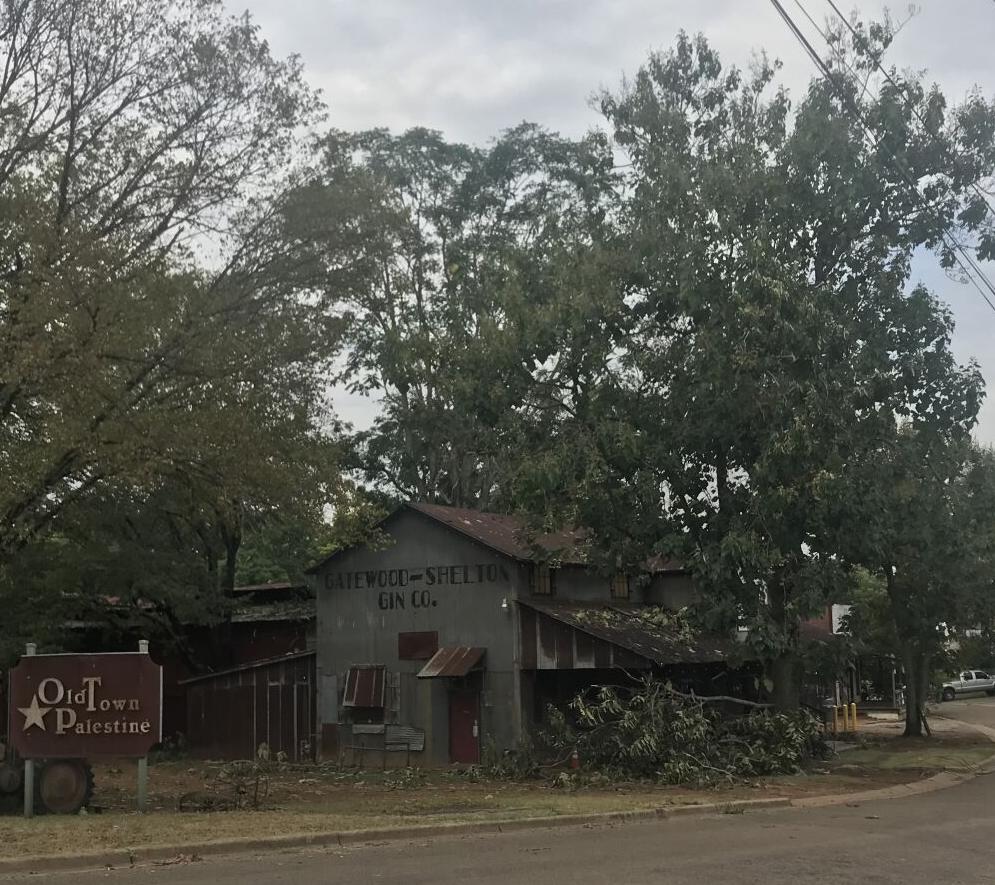 Storm Leaves 4k Without Power News Palestineherald Com