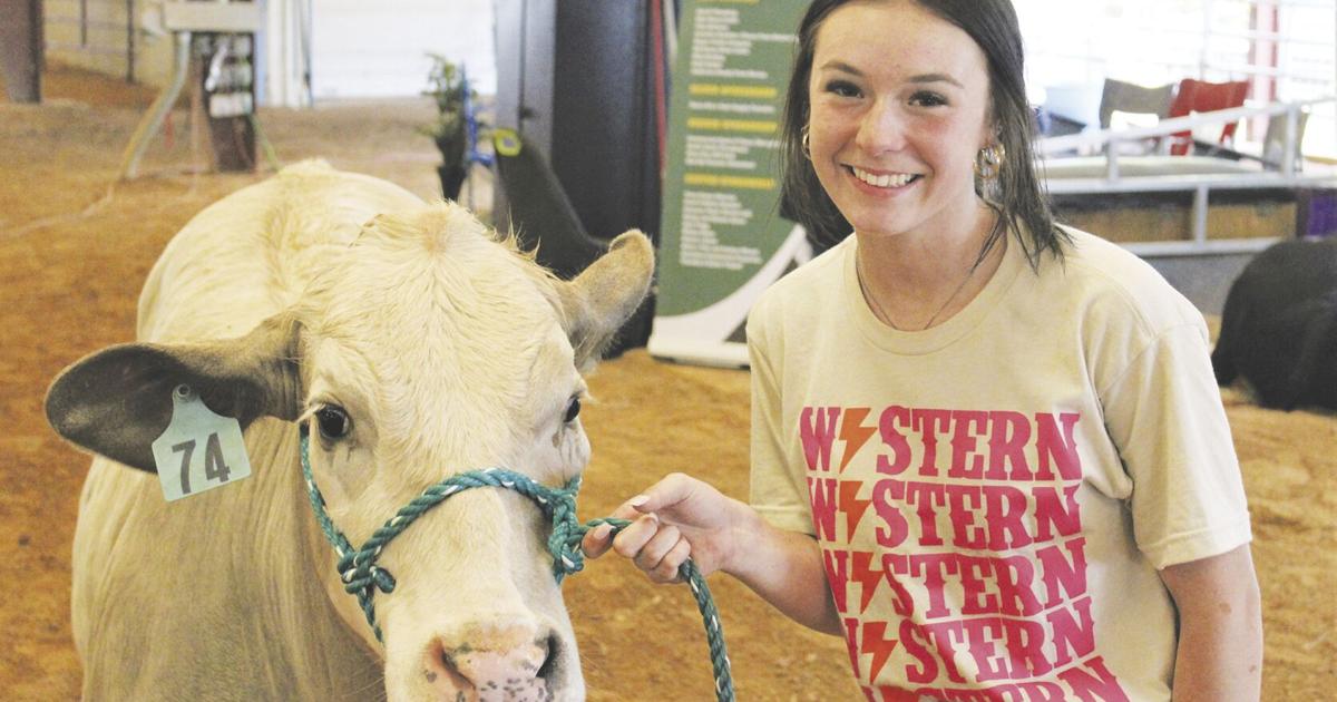 Anderson County Youth Livestock Show in full swing | News ...