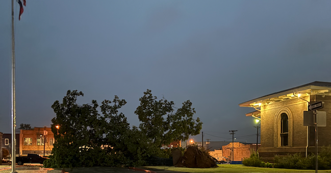 Storm downs trees, knocks out power | News | palestineherald.com