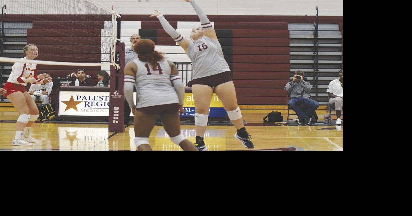Palestine Ladycats volleyball in action Sports