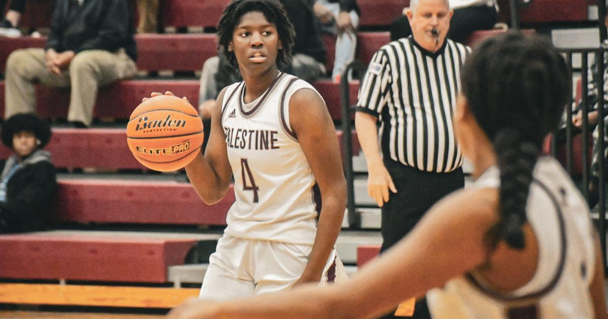 Ali Rasheed Basketball High school basketball: Six area athletes named to All-State teams ...