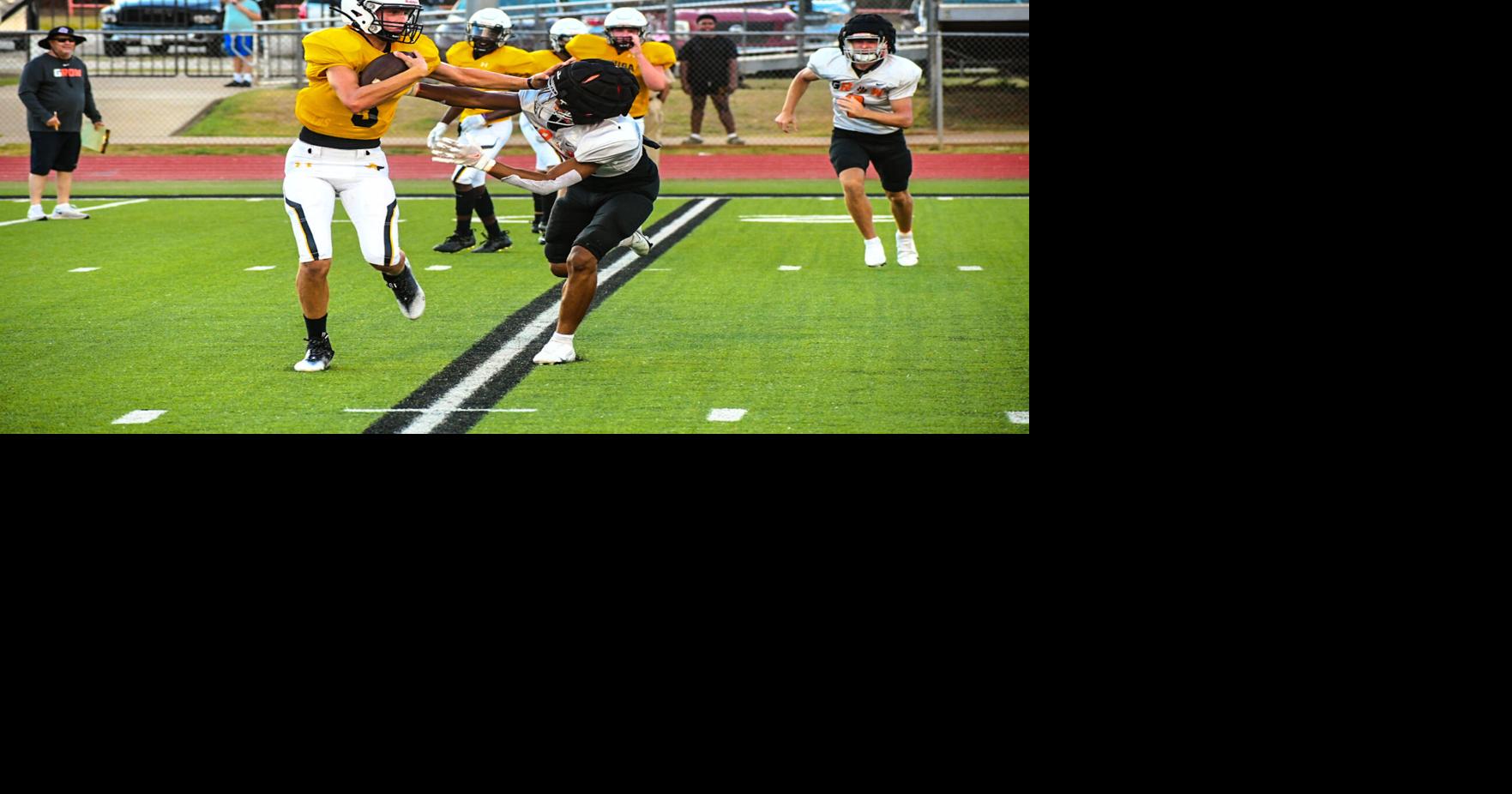 2022 Schedule Preview Cayuga Wildcats Sports