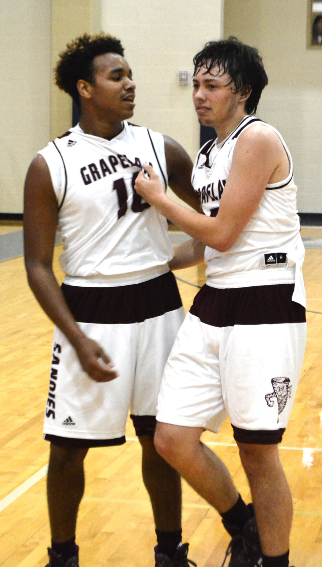 SANDIES HEADING TO SAN ANTONIO Grapeland boys basketball team stuns