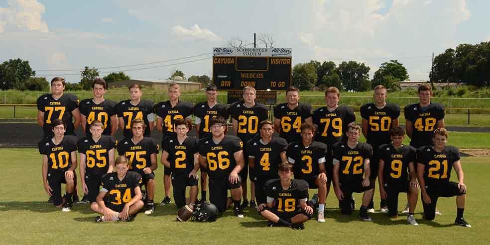 Cayuga nails 13 to All District teams Sports palestineherald com