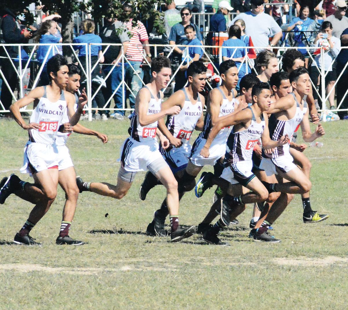 High school cross country Palestine boys 10th in ‘fast’ race Sports