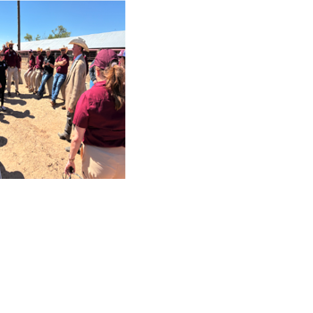 AgriLife Extension Disaster Assessment and Recovery Unit trains for wildfires, biosecurity threats