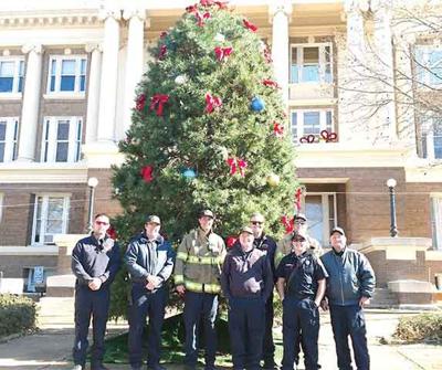 County Tree Gift To Community Community Palestineherald Com