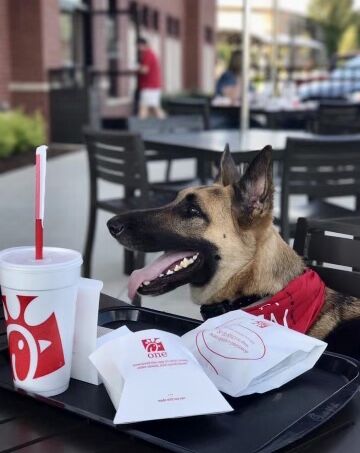 does chick fil a have dog treats