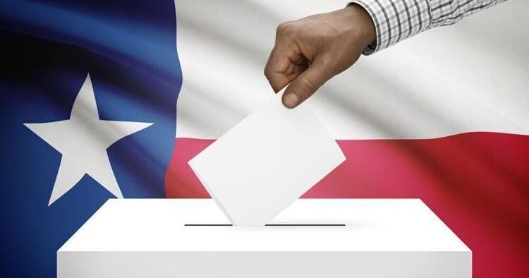 VOTE! Texas Primary runoff elections are Tuesday - Vimarsana News
