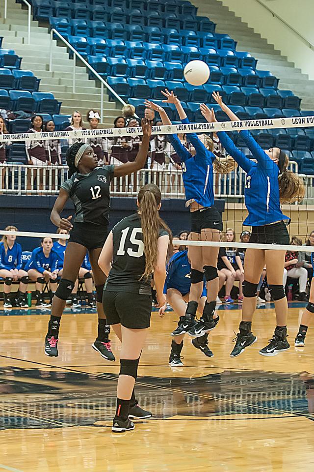 High school volleyball Robinson ends Palestine's season Sports