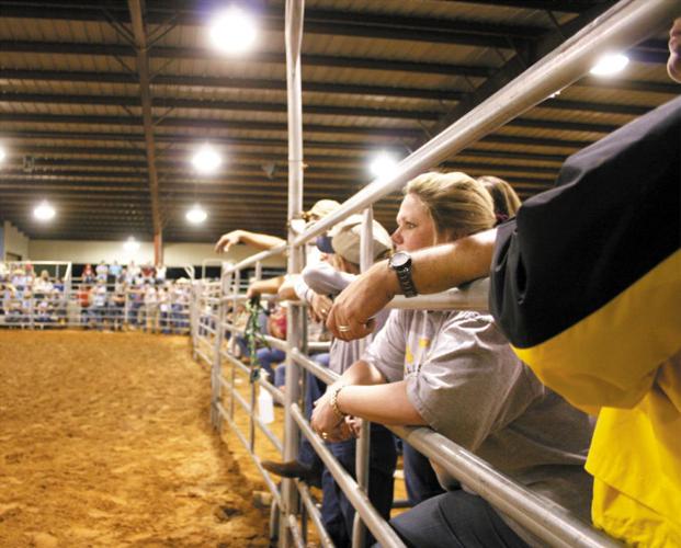 y-in-r youth livestock show