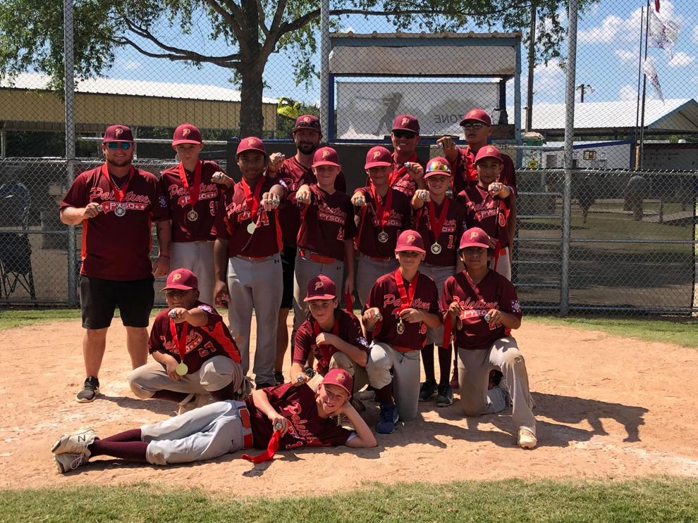 Youth baseball Palestine 12U captures second at state tournament