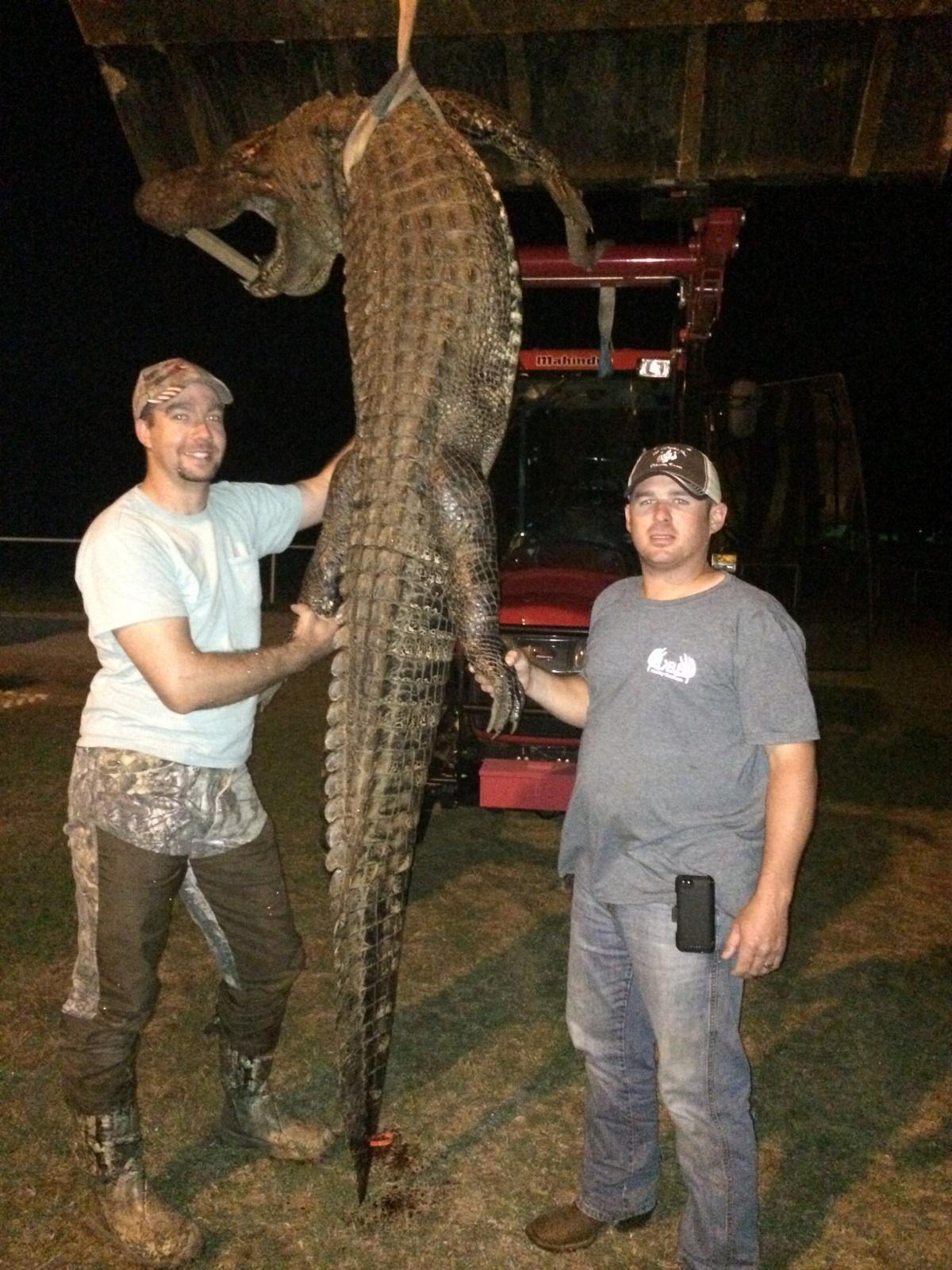 Upper Lake reopened after alligator removed Archives
