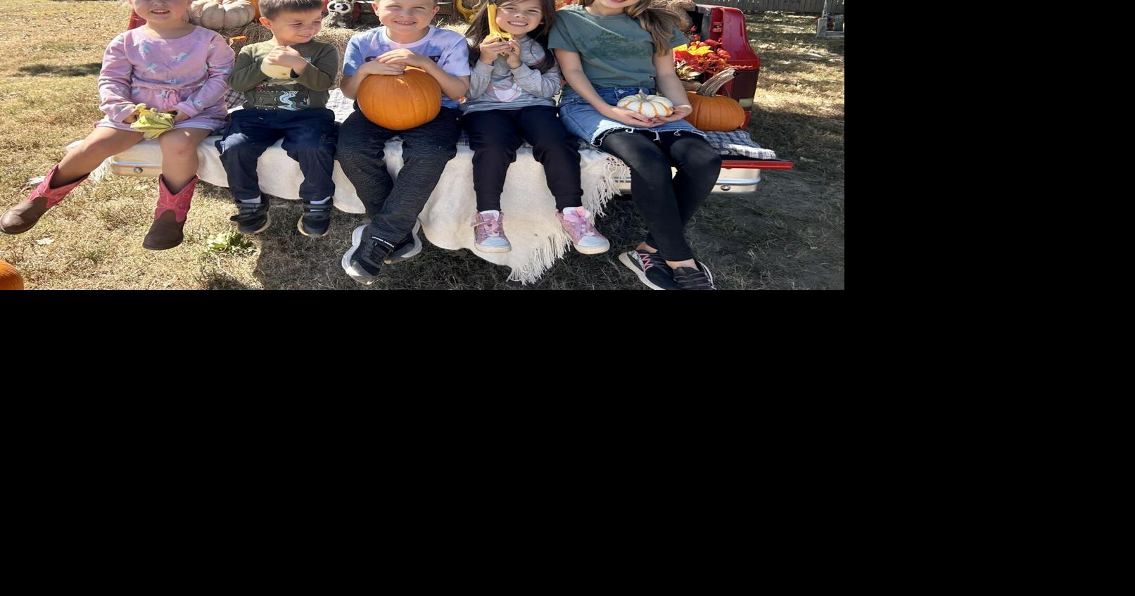 Rock Bottom Ranch brings pumpkin patch fun back to Palestine | News ...