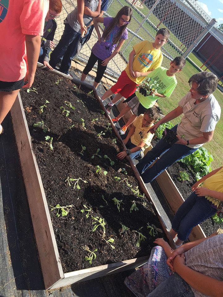 Application open for 2025 Anderson County Master Gardener Class News