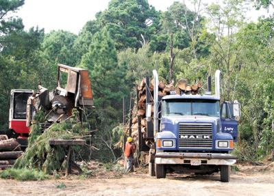 clearing the way