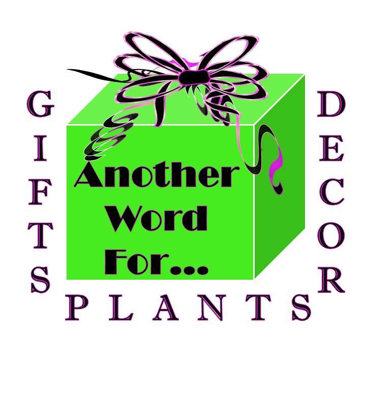 another-word-for-cards-stationery-giftwrap-bloomington-il-pantagraph