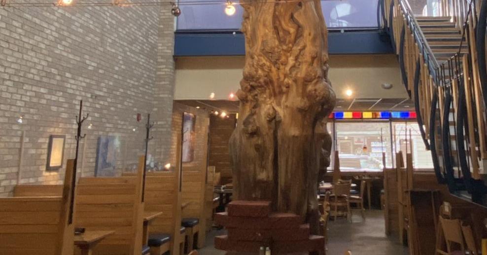 Eats of the Week: The story behind that tree at Medici in Normal