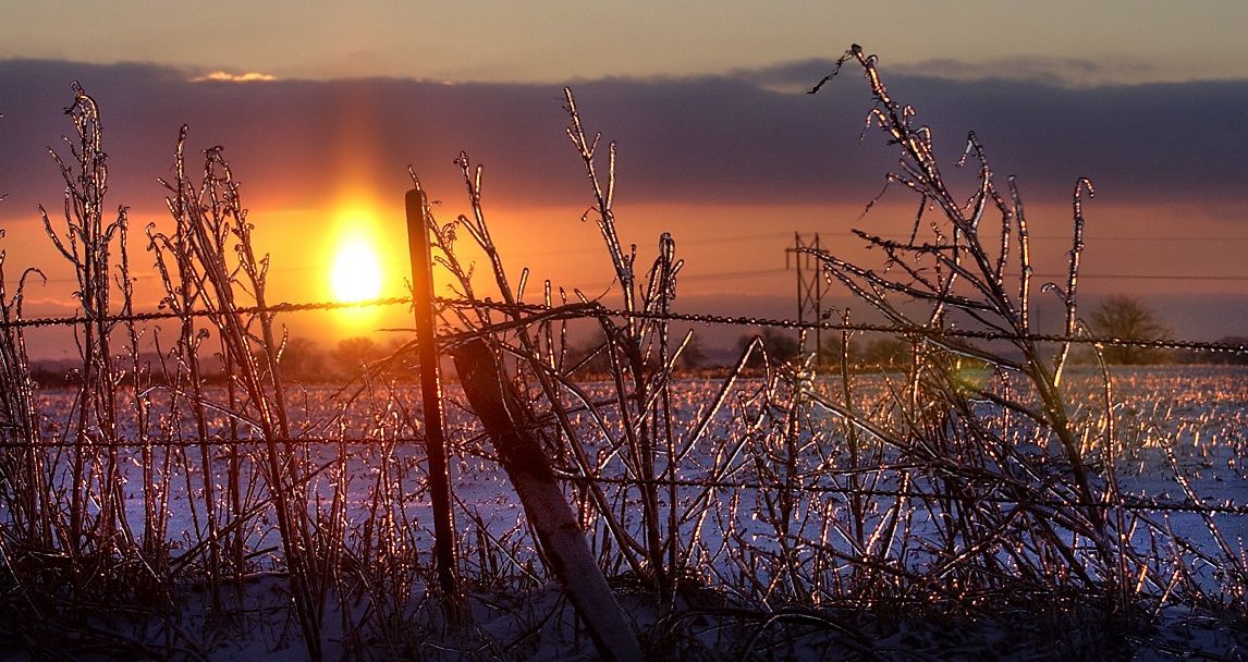 Central Illinois sunsets