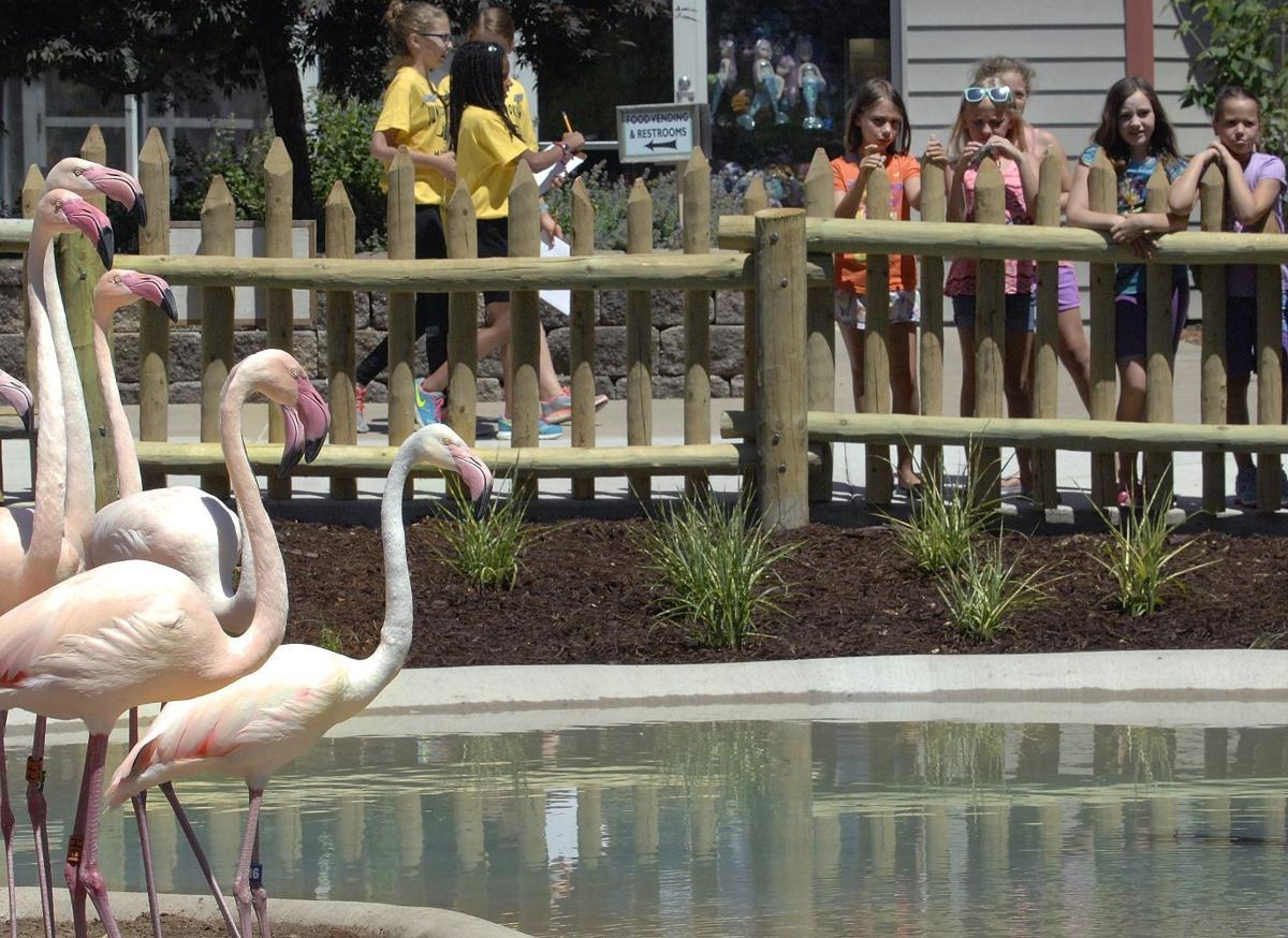 flamingo gardens dinosaur exhibit