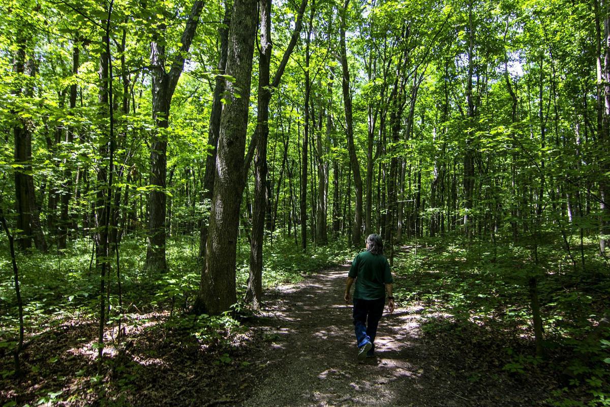 Looking For An Outdoor Retreat Shady Trails Quiet Lake Greet Visitors To Moraine View Local News Pantagraph Com