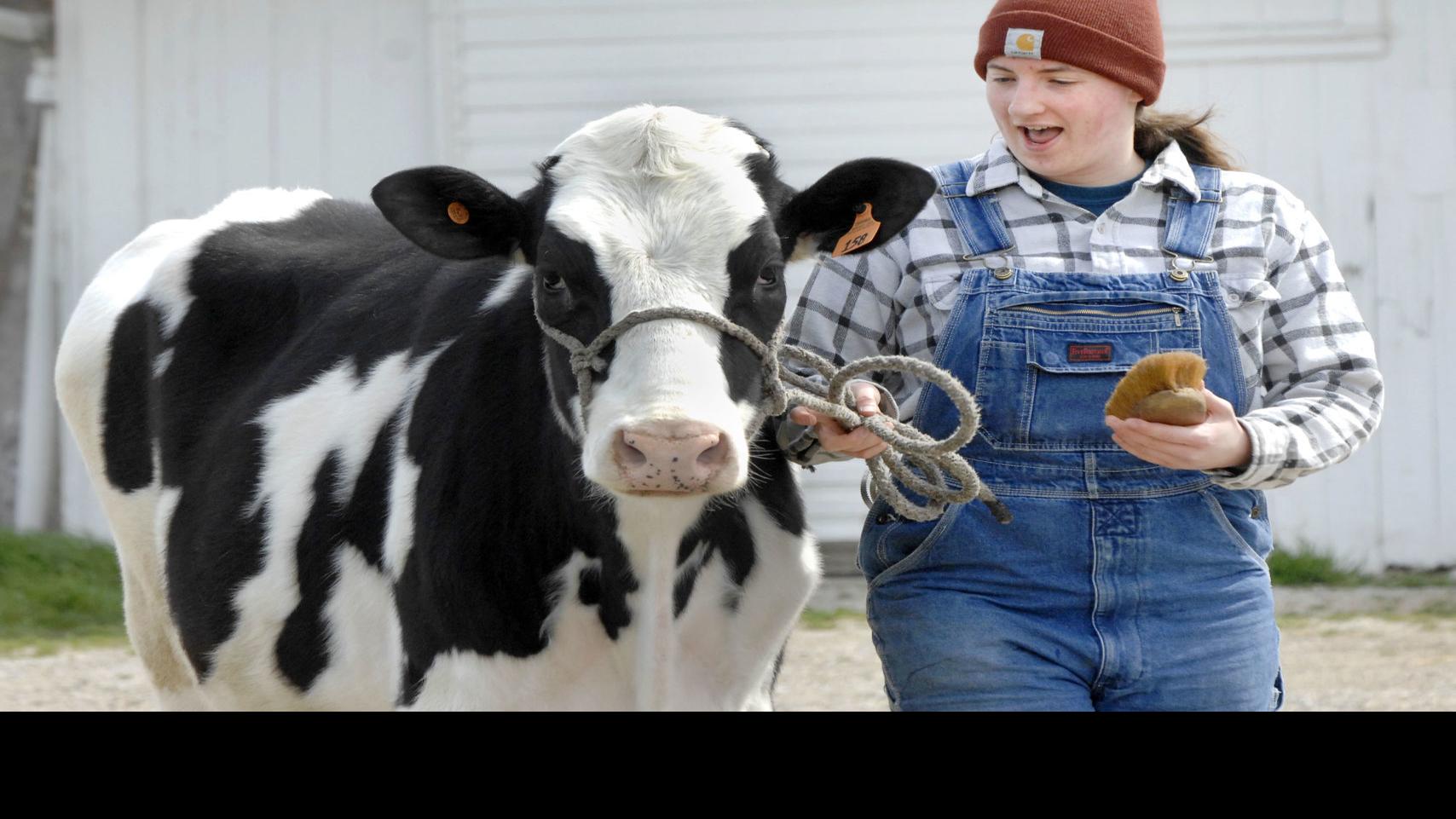 Mclean County 4h Fair Book 2022