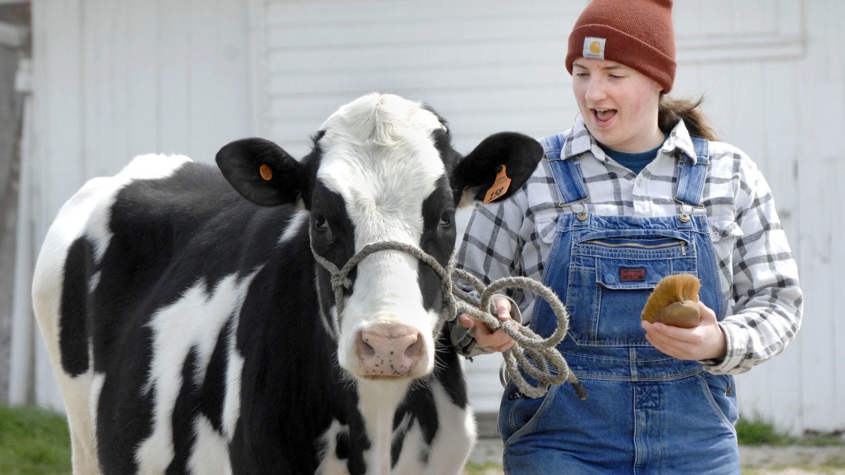 Mclean County Fair So Far Still On Despite Covid Issues Local News Pantagraph Com Mclean County 4h Fair Book 2022