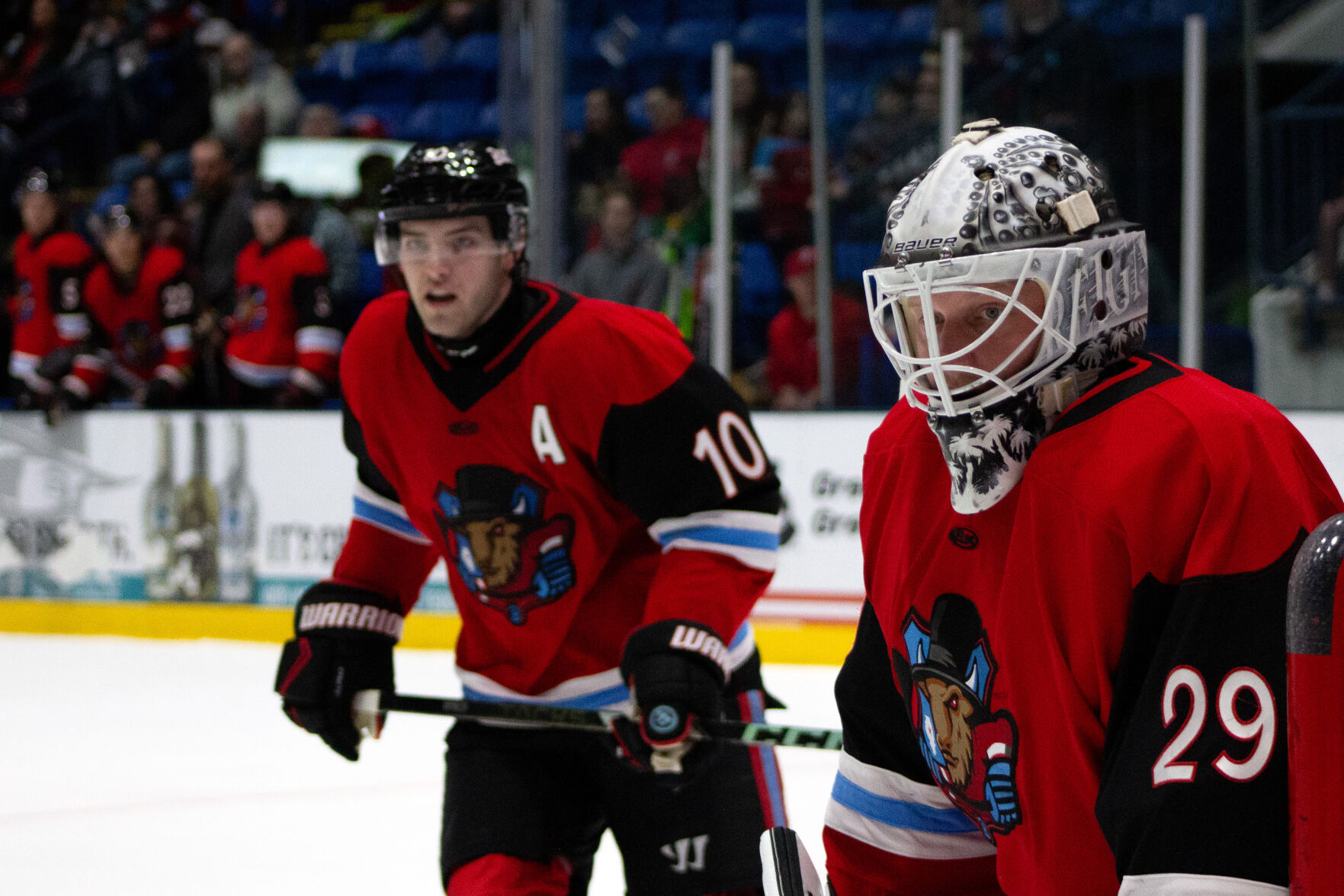 Column: Bison 'just getting started' after memorable first season in ...