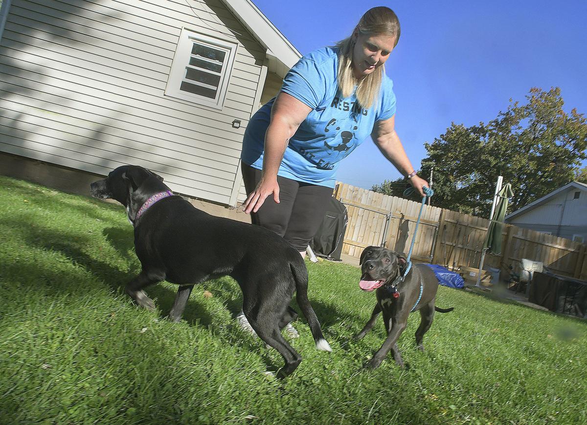 Watch Now Central Illinois Pet Adoptions See Positive Trend Amid Covid Pets Pantagraph Com