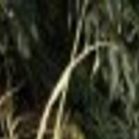 Magazine Publishes First Photo Of Woman Held 18 Years In Backyard