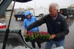 From adjudication to vegetation