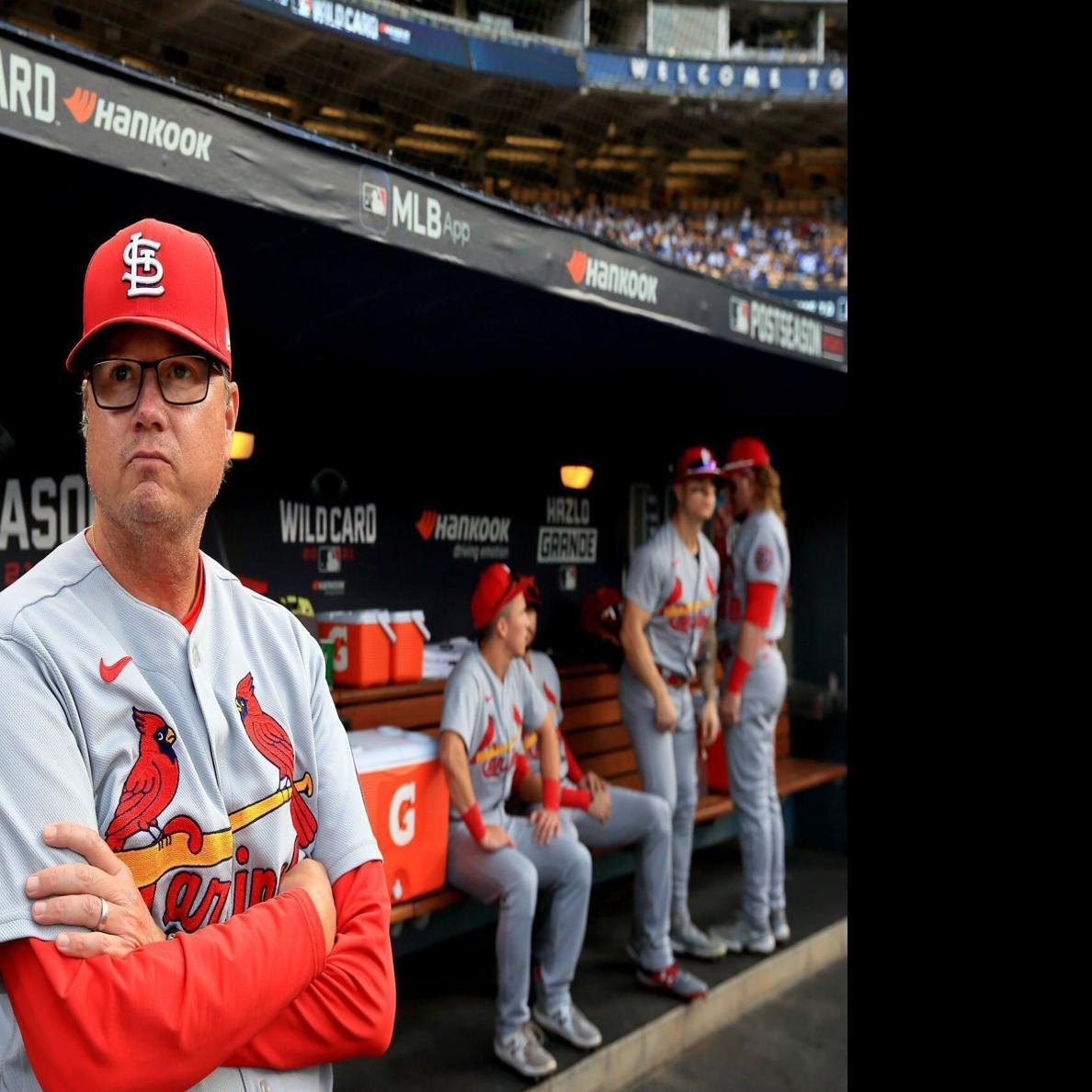 former-cardinals-manager-mike-shildt-lands-job-with-mlb-commissioner-s-office