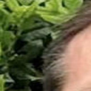 Larry J Riddle Obituaries Pantagraph Com