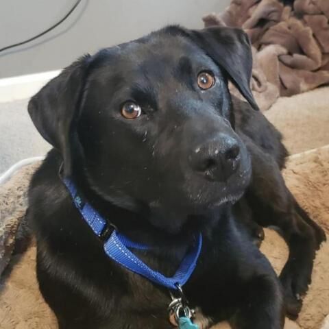 Jack