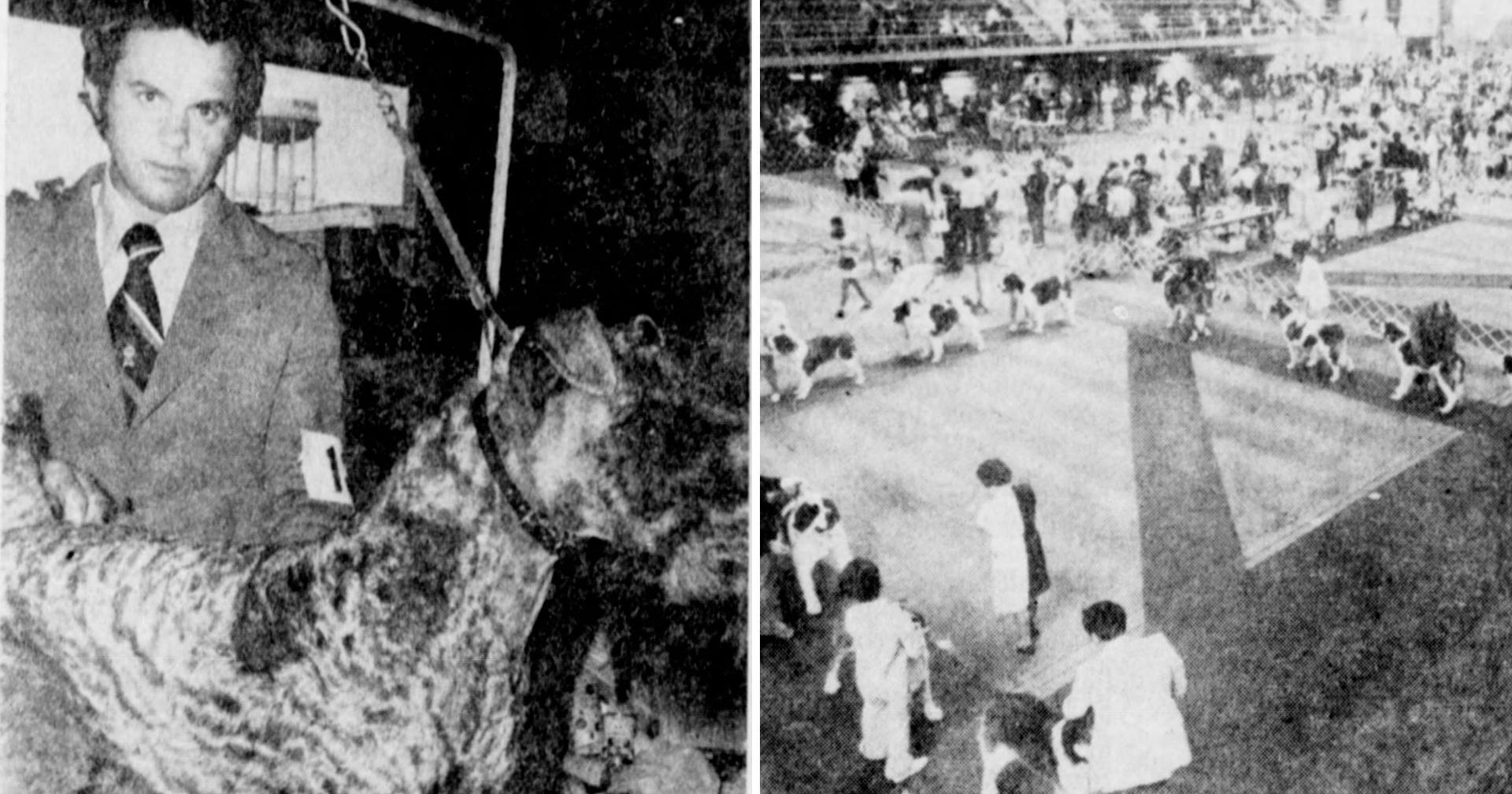 50 years ago: Over 1,600 dogs compete at 24th Corn Belt Kennel Club show - Vimarsana News